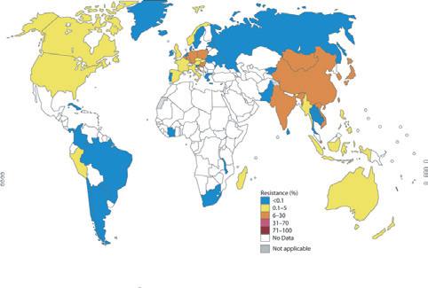 Gonococcal antimicrobial susceptibility 35 Despite this progress, the full extent of the problem of gonococcal AMR remains unknown due to the lack of data in many countries.
