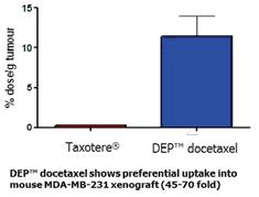 DEP Docetaxel Preclinical Findings: