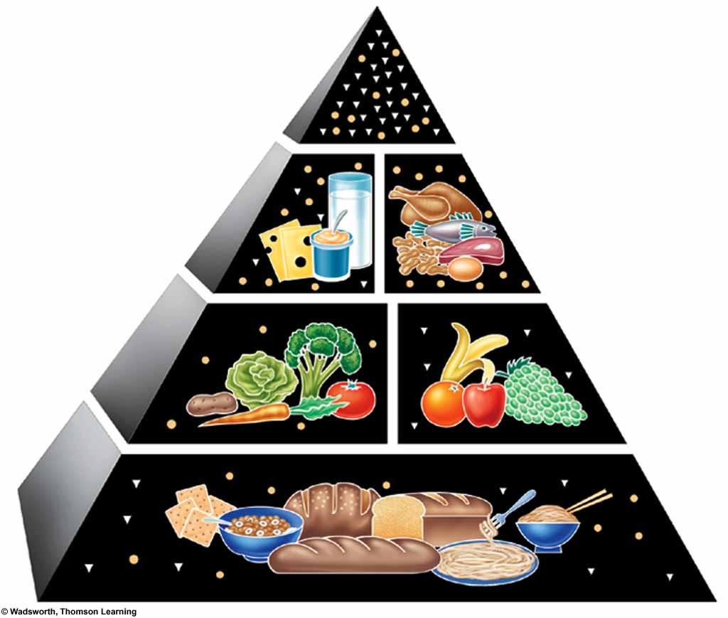 Key: Fat (naturally occurring and added) Sugars (added) These symbols show fats, oils and added sugars in foods.