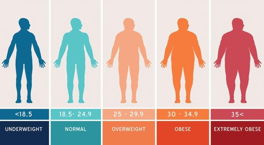 Body Mass Index Purpose: a body composition measure used for the general population to determine the level of health risk associated with
