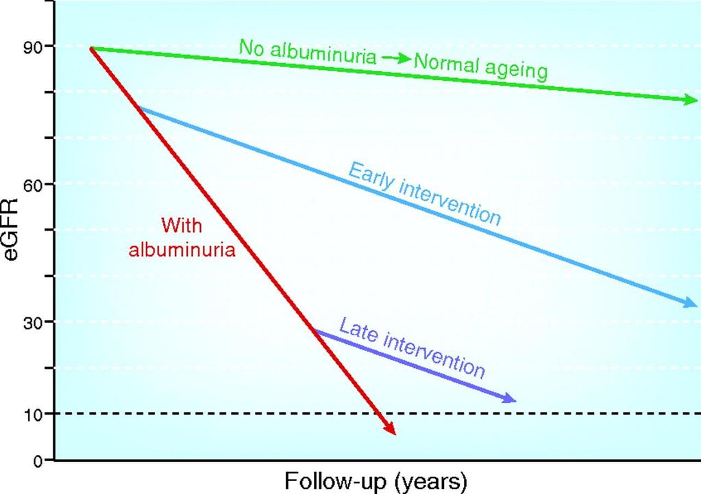 Schematic presentation of the decline in GFR over years in a patient with albuminuria and in a