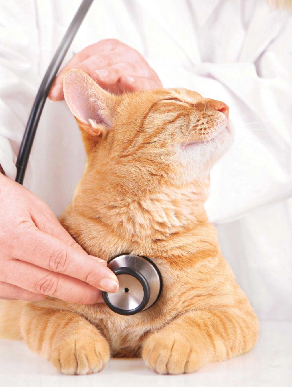 Peer reviewed Cardiac Blood Tests in Cats Another Tool for Detection of Heart Disease Mark A.