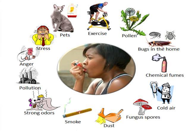 ASTHMA BASICS (CONT.) WHAT CAN TRIGGER ASTHMA? Respiratory illness (i.e. common cold, sinusitis, pneumonia) Allergens (i.e. pollen, cat dander, dust) Weather (extreme warm & cold temps) Irritants (i.