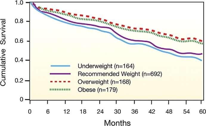 Risk-Adjusted Survival Curves for the 4 Body Mass Index Categories at 5 Years in a Study of 1,203 Individuals With Moderate to Severe Heart