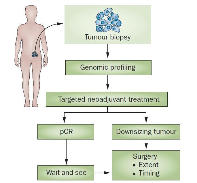 Future Breast Surgical Oncology in an Era of Genome Sequencing Gene-expression profiling of biopsies can predict response to neoadjuvant treatment, which can