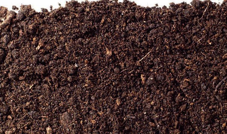 HUMICS Humic amendment enriched with SI For natural disease tolerance ithir Si is a natural humic acid fertiliser extracted from American Leonardite and enriched with highly soluble organic silicon.