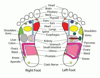2 Train as a professional reflexologist! What is Reflexology? Reflexology is a non-invasive and relaxing complementary therapy that aims to optimise both physical and emotional health.