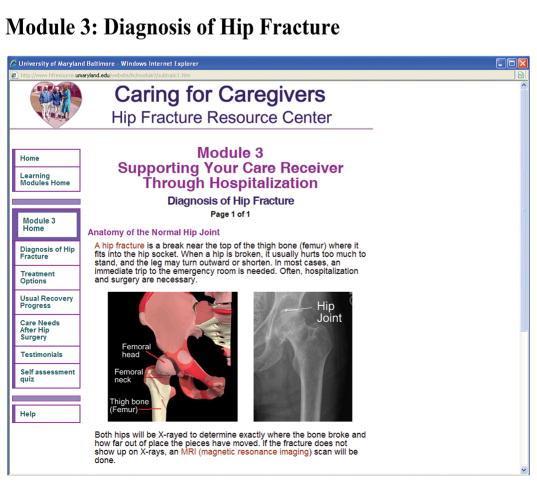 On-line Hip Fracture Resource Center ( Nur Res 2012; 61( 6):