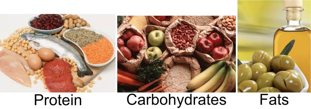 Examining the Macronutrients Macronutrients are chemical substances that provide the human body with the energy it needs to function. The macronutrients are broken down into three distinct categories.