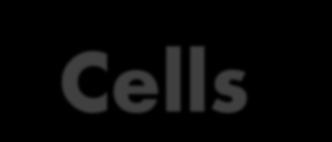 Cells Rapid expansion Stable with