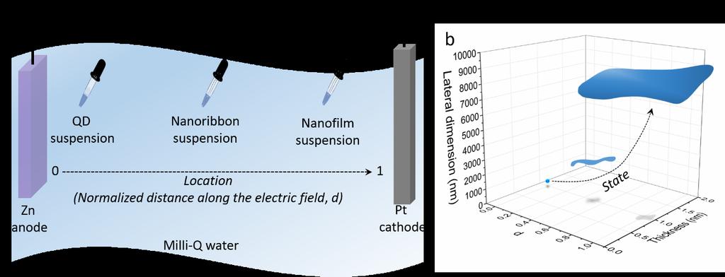Grain boundaries are visible. Figure S9. (a) Schematic illustration for sample collection: Suspension was collected from different locations, representing different assembly steps.