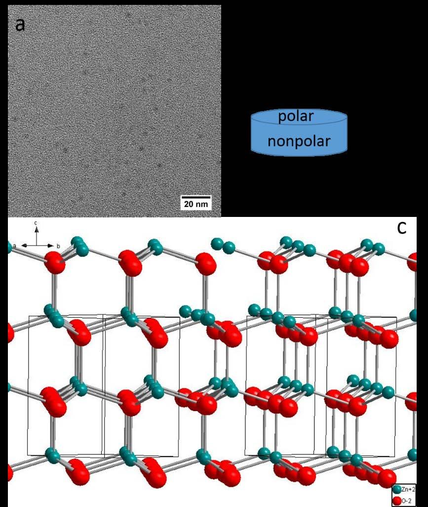 Figure S10. (a) A TEM image of ZnO QDs. (b) Schematic view of individual QD showing size paratemers. (c) Optimized atomic cinfiguration of the QD. Side view from the thickness direction.