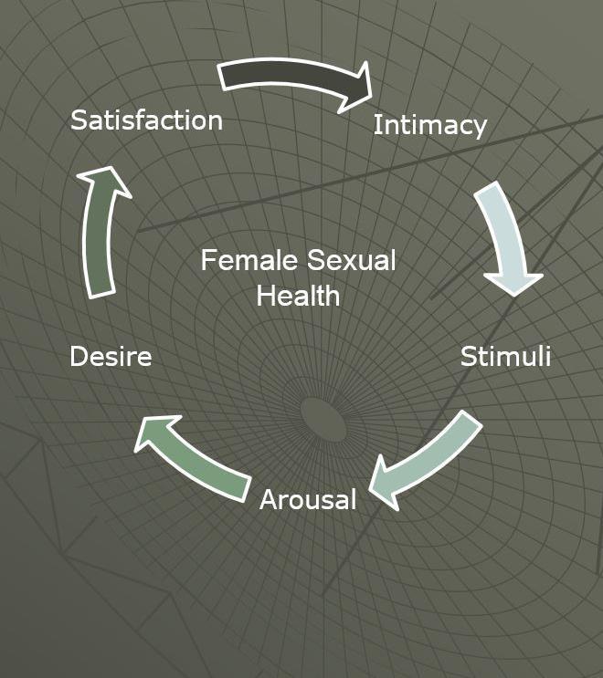 Basson Model of Female Sexual Health