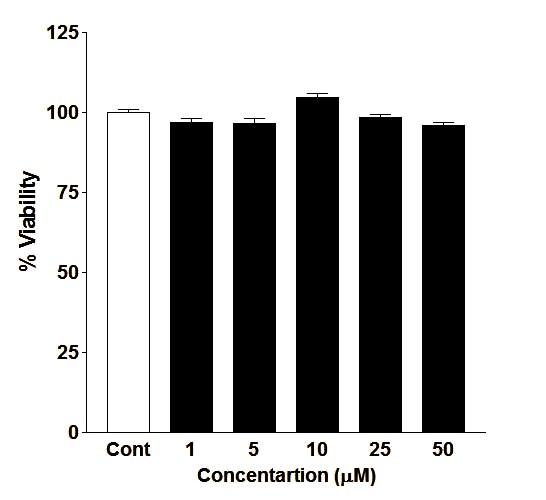 MTT Assay : Figure S3: Effect of 5e on cell