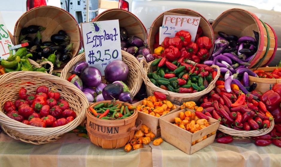 Sustainability Buying local Farmer s markets Movement
