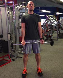 Workout B Bicep 21 s Grab a barbell or pair of dumbbells and hold them with your palms up and arms