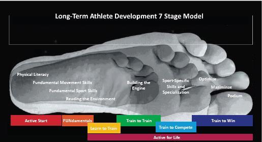 Long-Term Athlete Development