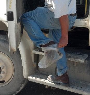 Transport drivers arrive at work wearing clean clothes and footwear which hasn t been worn around livestock. 2.