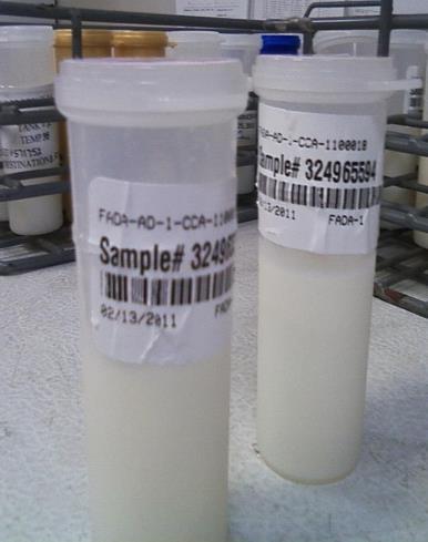Bulk tank milk testing strategy for FMD There is a bulk tank milk PCR test for FMDv It is