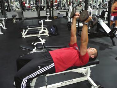 LYING TRICEP EXTENSION Lying flat on a bench, Raise