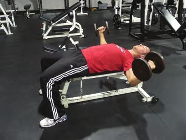 With the weights at chest height, keep elbows bent and