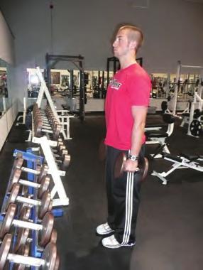 DUMBBELL HAMMER CURL Start standing up tall with weights by side.