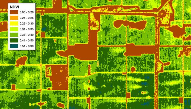 What is NDVI?