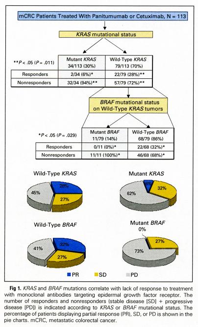 BRAF-Mutation Wild-type BRAF is required for response to Panitumumab or