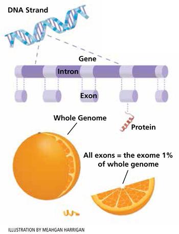 Diagnostic Whole Exome Sequencing Looks for