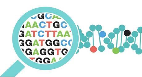 Predictive and Pre-symptomatic Predictive Identify mutations that increase risks for a genetic disease. i.e. Breast/Ovarian Cancer Pre-symptomatic determine whether one will develop a genetic disorder before any signs or symptoms.