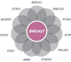 Direct to Consumer Testing Health Testing Issues Inherited Breast Cancer Testing usually only BRCA gene May not include full