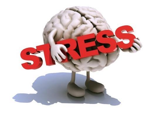 Stress & The Body,