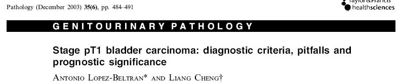 Can we improve Invasion assessment? PATHOLOGIC ISSUES IN DIAGNOSIS OF LAMINA PROPRIA MICROINVASION How we do identify invasion?
