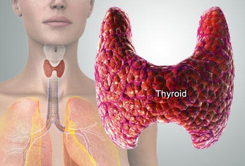Thyroid Dysfunction As Dr.