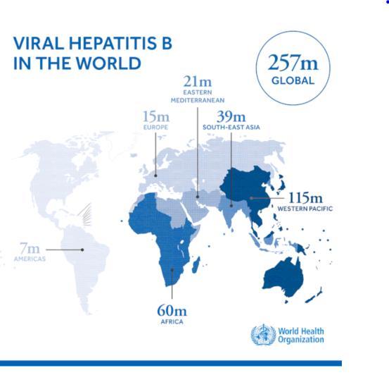 Prevalence: 257 million people living with HBV 68% in Africa /Western Pacific Global hepatitis