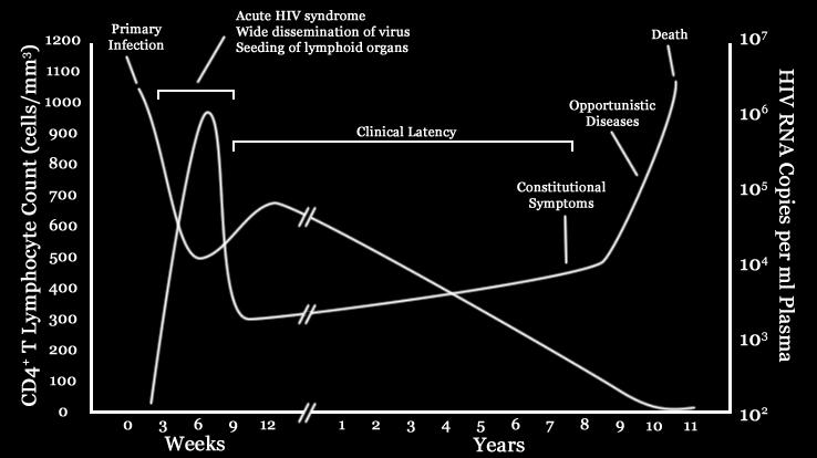 Stage 2: Asymptomatic Fauci, Annals of Internal Medicine! Follows acute HIV infection! Lasts for a period of years!