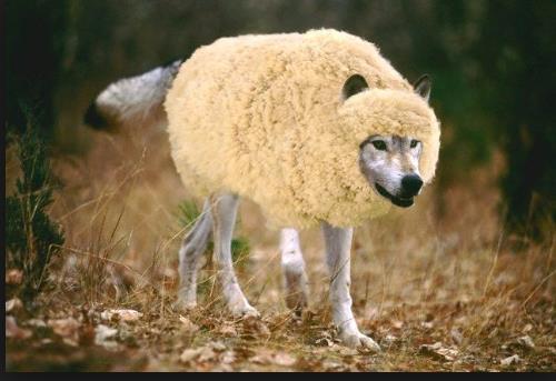Finding the wolf in sheep s clothing: 2 different species of wolf: Misclassification of occult higher grade