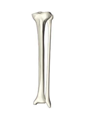 Lateral Distal from the greater trochanter to 1-2 fingers proximal to knee joint.