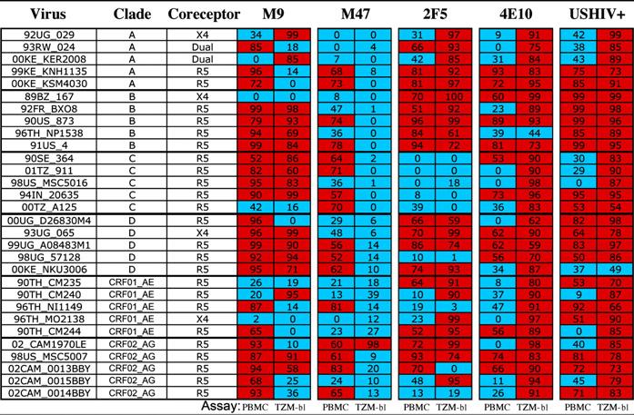 318 Minireview Table 2 Comparison of neutralization data from PBMC versus TZM-bl assays using a single antibody concentration of 30 μg/ml (mabs) or a 1:40 dilution (USHIV+ pool) Five different