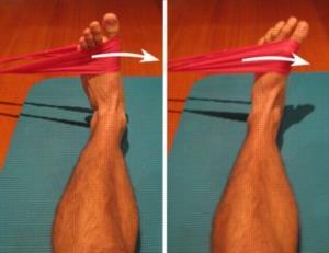 Resisted inversion and eversion Using theraband to strengthen the invertors and evertors It is important when