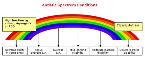 What is a spectrum disorder? There is considerable overlap among the different forms of autism.