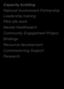 Networking Strategic Partnership - DH National Involvement Partnership Mental Healthwatch Community Engagement Project Regional networking: London South East, East of