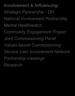 Collaboration Partnership meetings Capacity building National Involvement Partnership Leadership training Pilot site work Mental Healthwatch Community Engagement