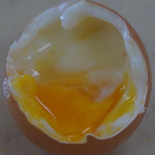 Egg : texture changes during heating Heat causes egg white and yolk become hard and firm Egg white : starts coagulation at ~ 60 o C and is completely coagulated at 65-70 o C Egg yolk :