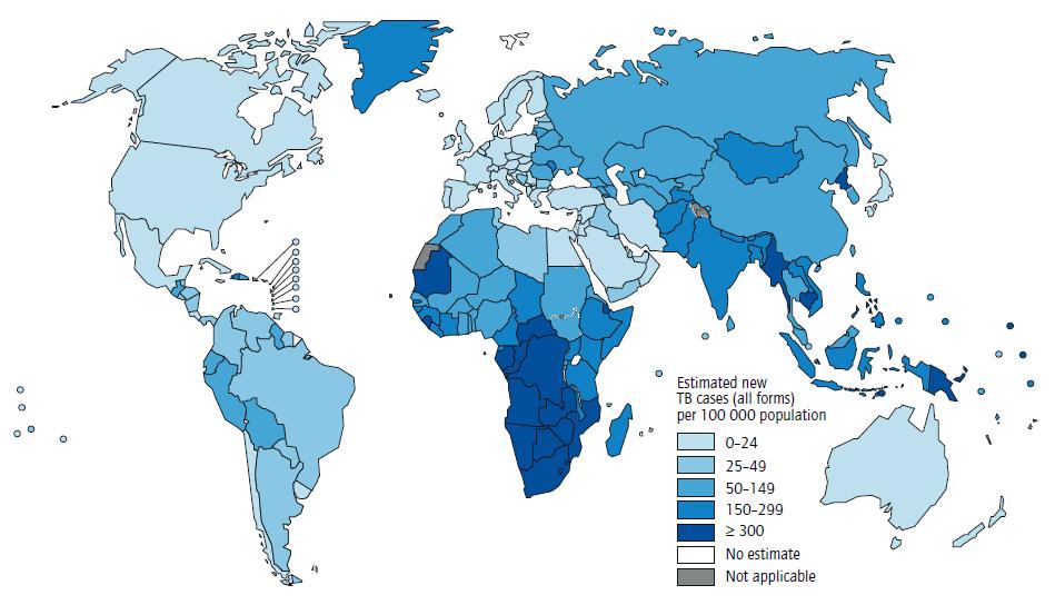 TB Burden: Global & Regional Global: Estimated 8.