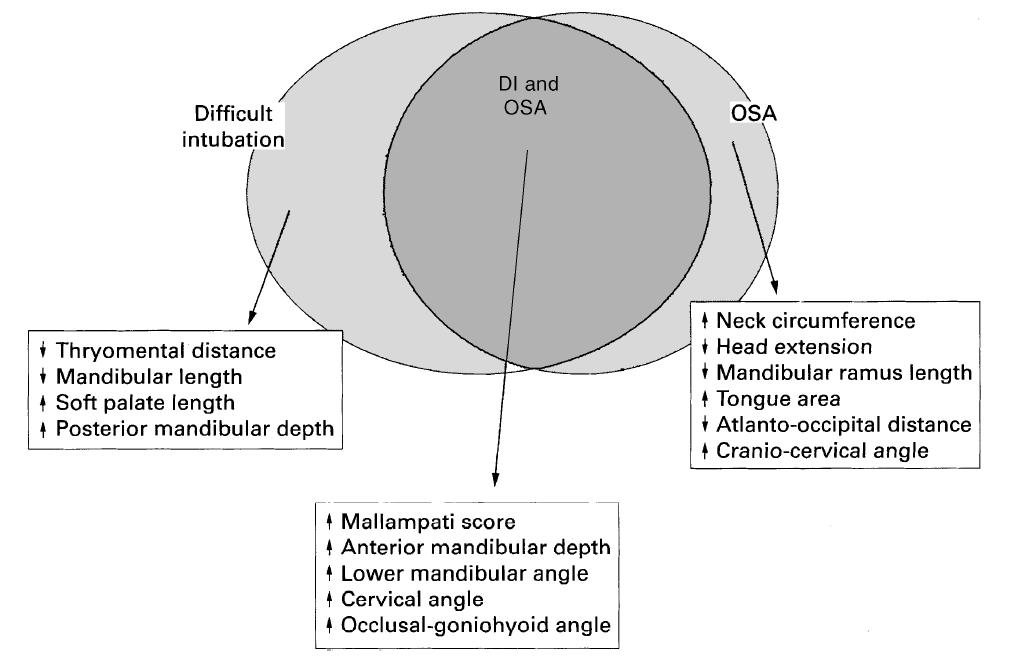 Difficult airway is associated with OSA Hiremath et al. Br J Anaesthesiology 1998;80:606.
