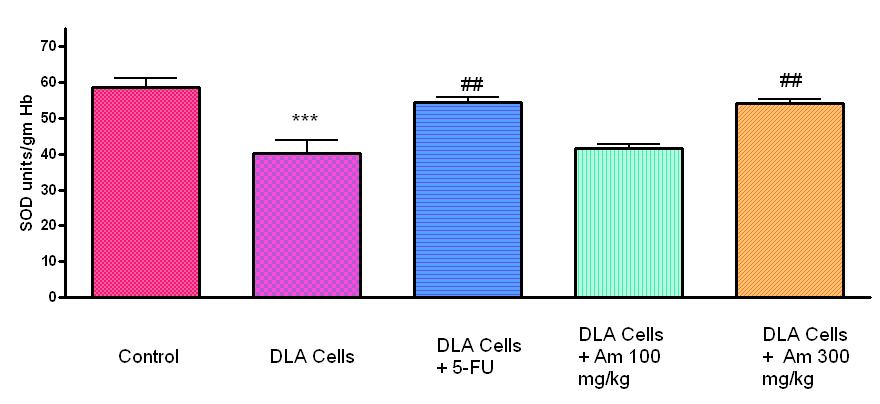 TABLE 2: Design of treatment Survival Time (in days) Increase in life span (%) DLA + 5-FU 22 ± 1.4 66.66 DLA+ methanolic Am 16 ± 1.7 28.32 (100 mg) DLA+ methanolic Am 19 ± 1.5 35.