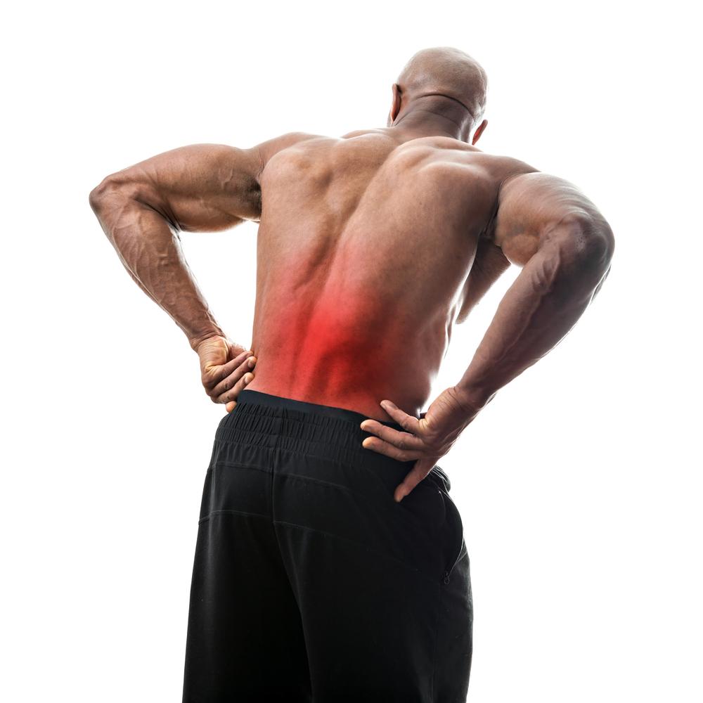 Chronic Back Pain Chronic Back Pain damage or irritation to the complex network of spinal muscles, nerves, bones, discs or tendons can result in acute pain or referred pain.