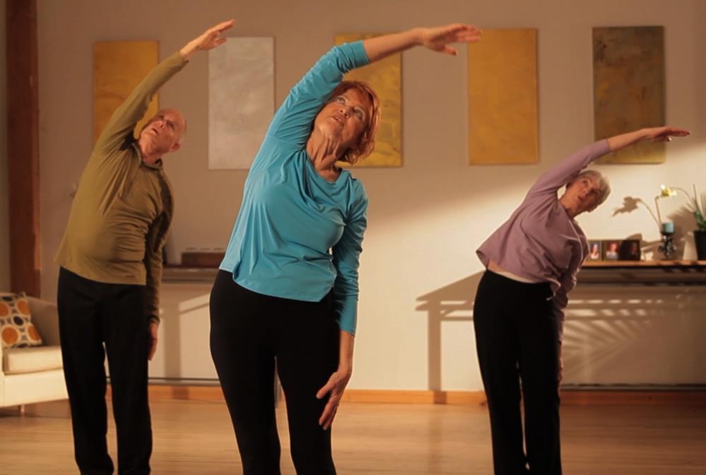 An Opportunity to Expand Care A structured exercise program may boost the physical well-being of sedentary seniors who are at risk of losing independent functioning.