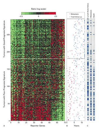 Schema: TAILORx Node-Neg, ER-Pos Breast Cancer Gene-expression based profiles used were the 70-gene good-versus-poor outcome model developed by van de Vijver et al. and van't Veer et al.
